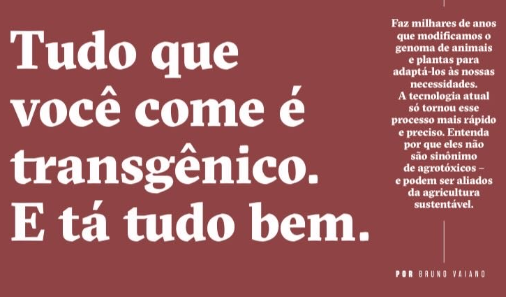 Atividade com descritor SAEB: Segurança alimentar